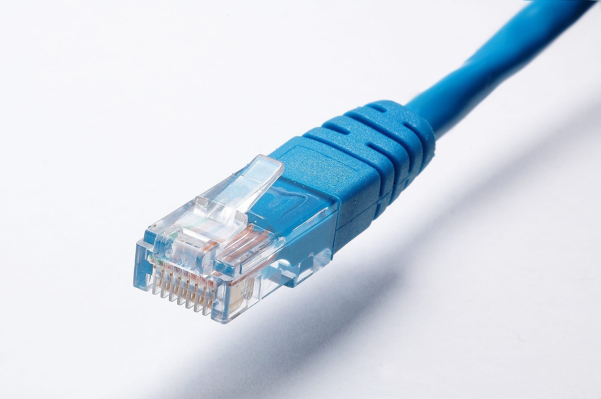 netzwerk-kabel